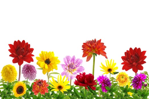 Flowers without food