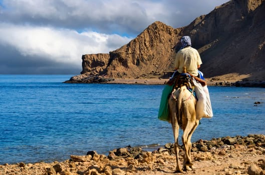 Camel riders in Ras Mohamed National Park