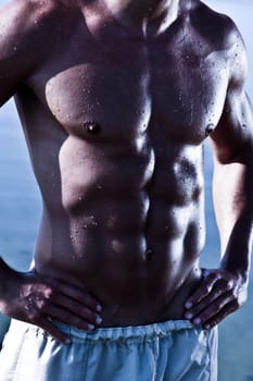 Muscule Sensual Male Torso