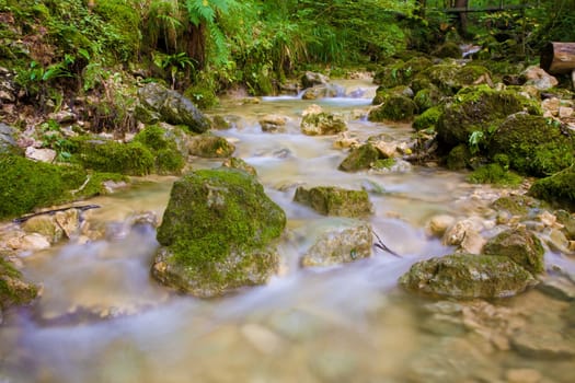 Stream