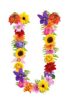 U
