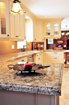 Kitchen interior