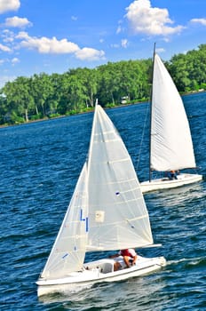 Small sailboats