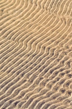 Sand ripples in shallow water