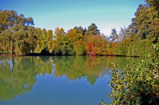 Autumn Landscape