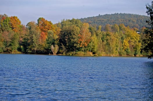 Autumn Landscape 1