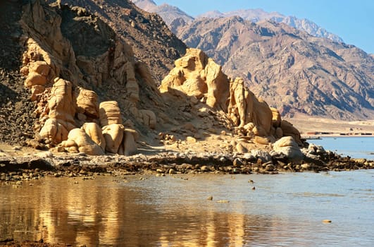 Ras Abu Galum National Park in Sinai 3
