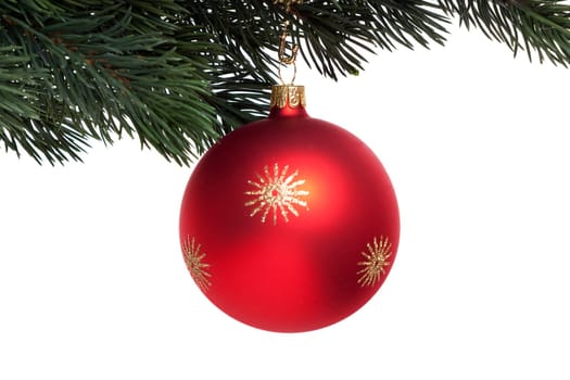 red Christmas ornament on fir branch