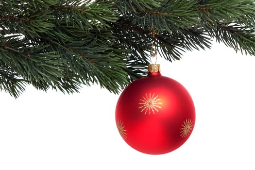 red Christmas ornament on fir branch