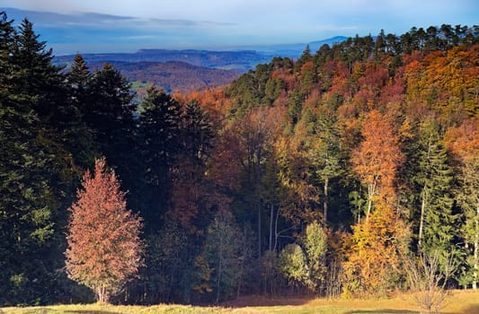Autumn in the Basel region