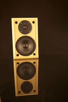 Speaker with reflection