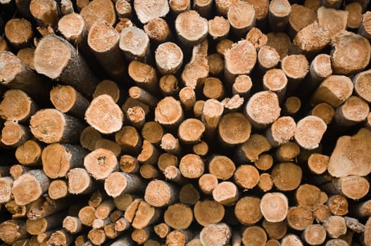 log pile