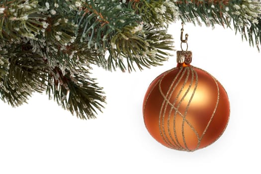 Christmas ornament on a fir branch