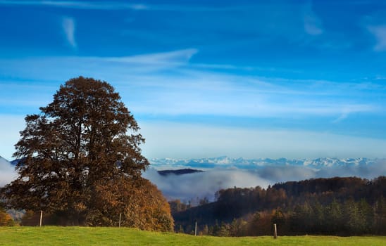 View of the Alps