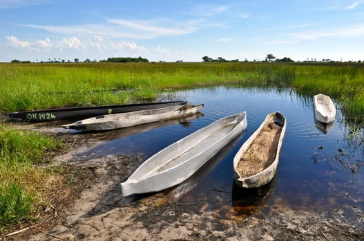 Boats in the Okavango Delta