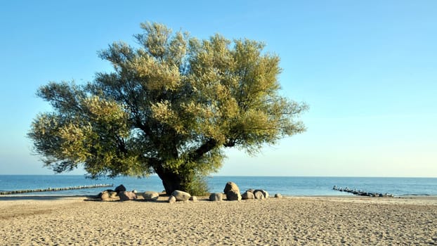 On the beach