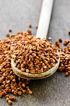 Buckwheat grain