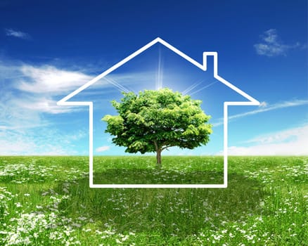 Eco house