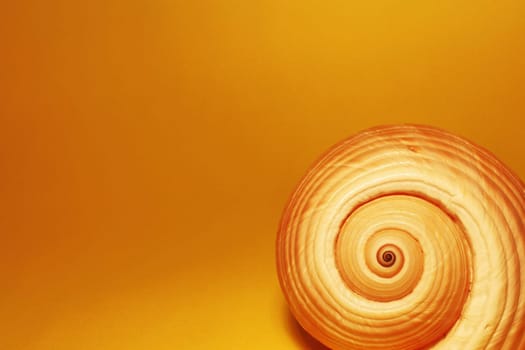 Shell