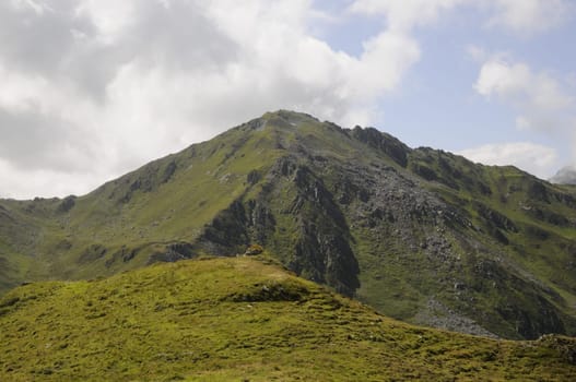 Halslspitze