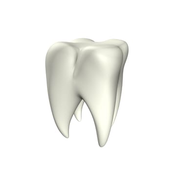 Tooth 3D