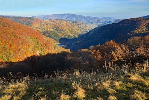 Autumn light over the Vosges