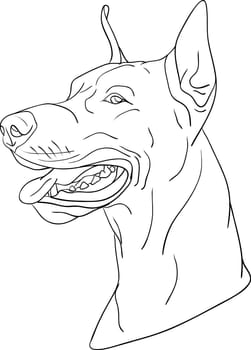dog head
