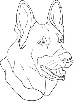 dog head
