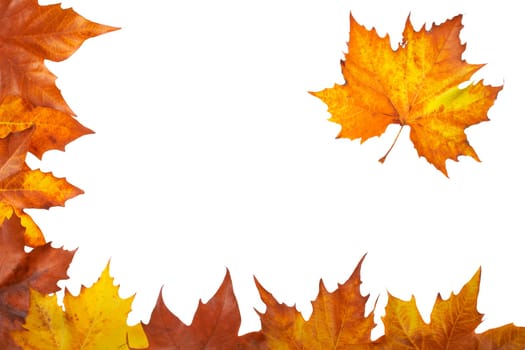 Autumn corner
