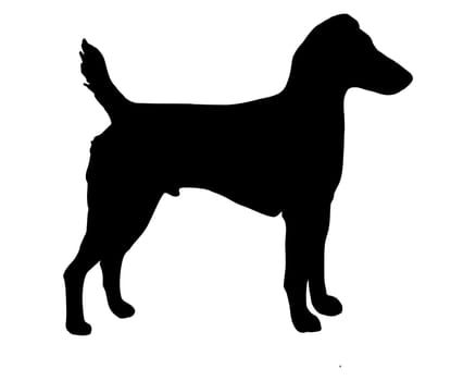 Black silhouette of a Westphalian Terrier