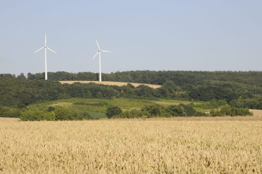 Grain field and wind turbines