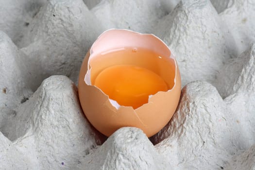 Egg yolk