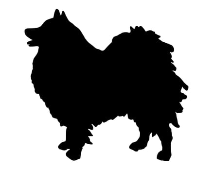 Black silhouette of a Spitz