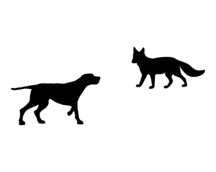 Hound meets fox