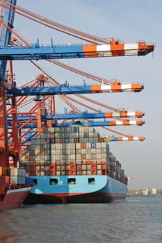 Container Terminal Port of Hamburg