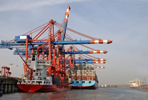 Container Terminal Port of Hamburg