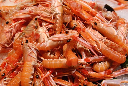 Fresh prawns