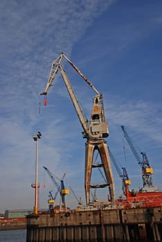 Loading cranes Port of Hamburg