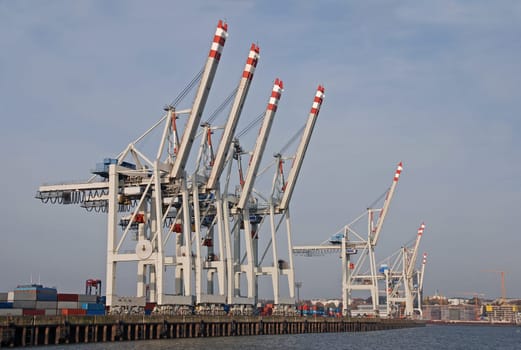 Container Terminal Port of Hamburg