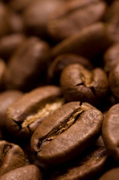 Roasted coffee beans
