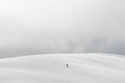 Cross-country skiing2