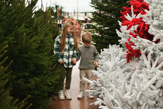 A family looking for a Christmas tree at the market
