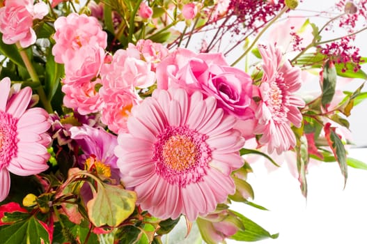 pink bouquet of flowers against white background
