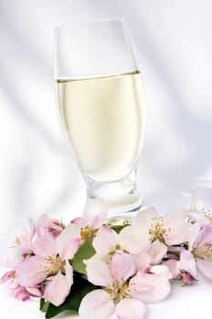 Cider and apple blossoms