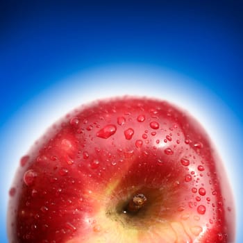 fresh apple