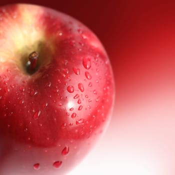 fresh apple
