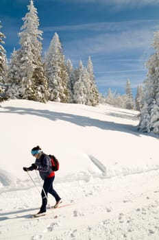 Cross-country skiing4
