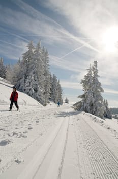 Cross-country skiing5