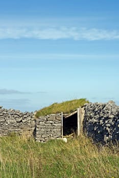 Irish Wall Wall