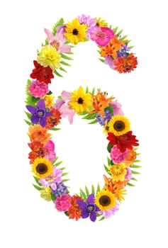 6